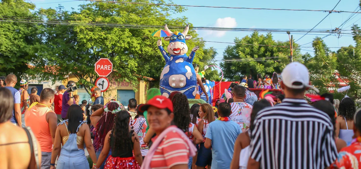 Bloco Vaca Atolada percorre ruas do bairro Matinha