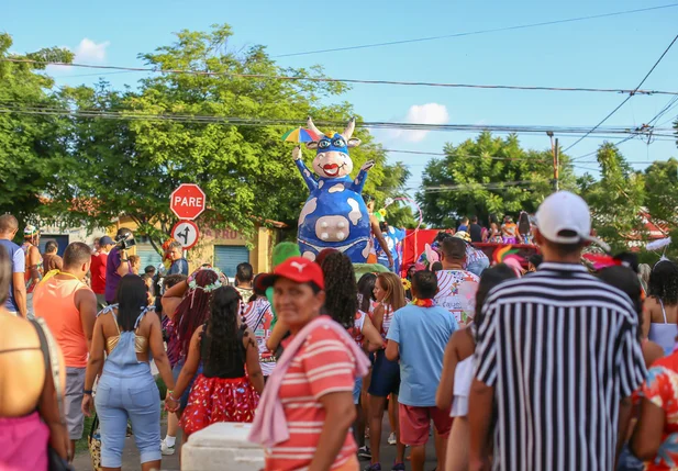 Bloco Vaca Atolada percorre ruas do bairro Matinha