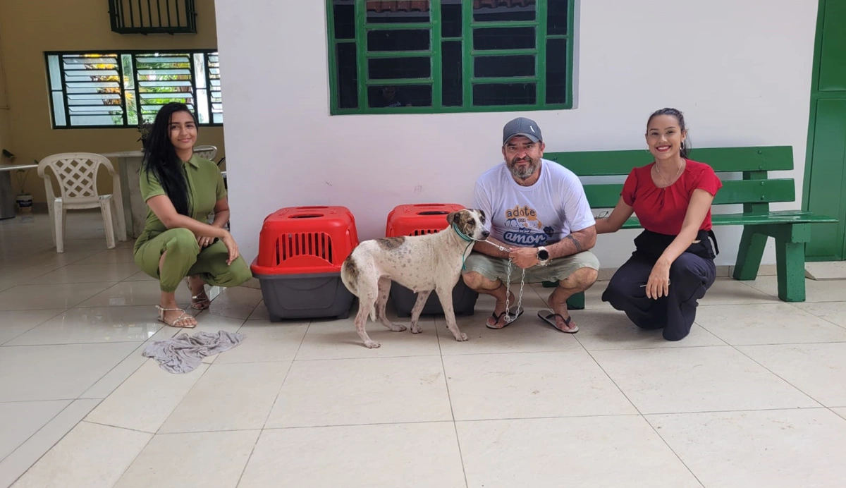 Cachorros foram encaminhados à perícia