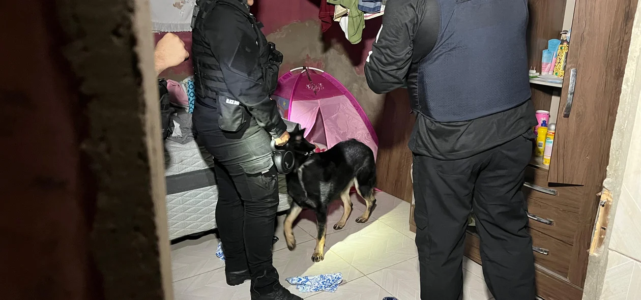 Cumprimento de mandados de busca na Operação Rota Caipira
