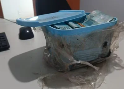 Dinheiro estava escondido dentro de um pote de sorvete ao limpar jardim de casa recém-comprada na cidade de Palmas