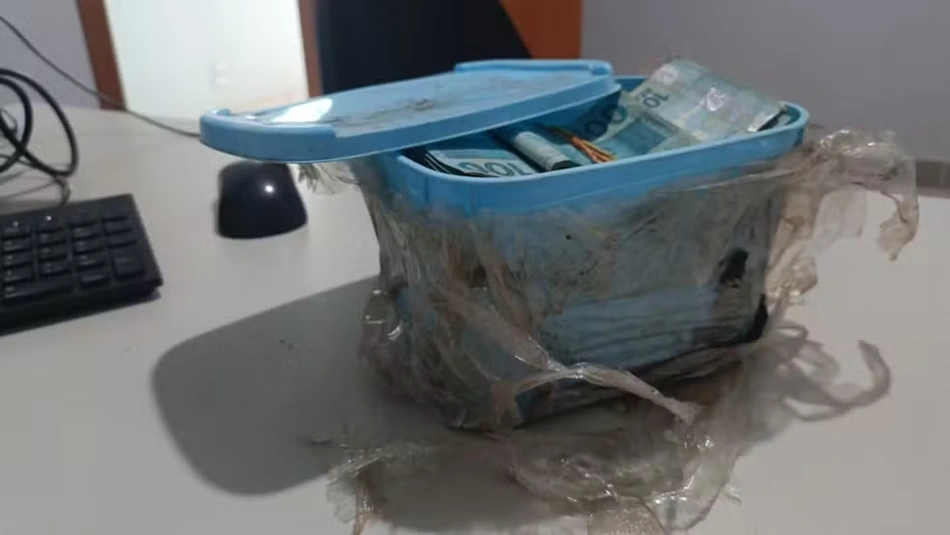 Dinheiro estava escondido dentro de um pote de sorvete ao limpar jardim de casa recém-comprada na cidade de Palmas