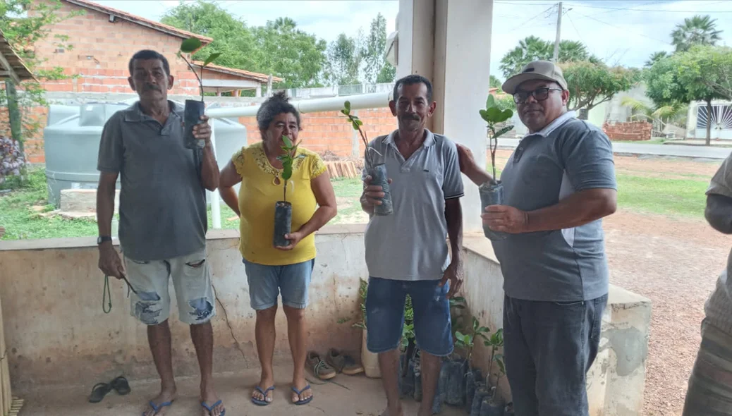 Familías do Baixão do Curralinho também receberam as mudas