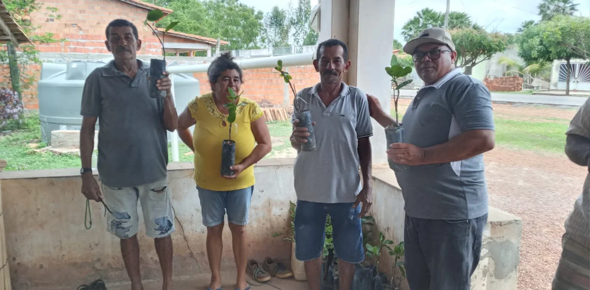 Familías do Baixão do Curralinho também receberam as mudas