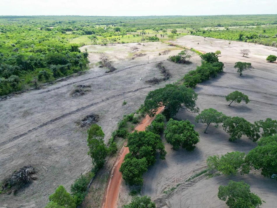 Fiscalização da Semarh identifica 36 alertas de desmatamento no norte do Piauí