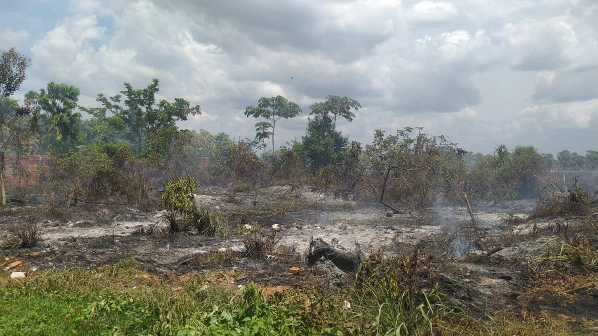 Incêndio em terreno baldio da cidade de Barras