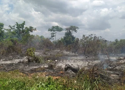 Incêndio em terreno baldio da cidade de Barras