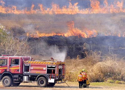 Incêndio florestal