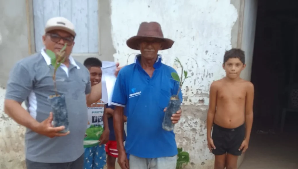 Mudas e sementes foram entregues para os produtores