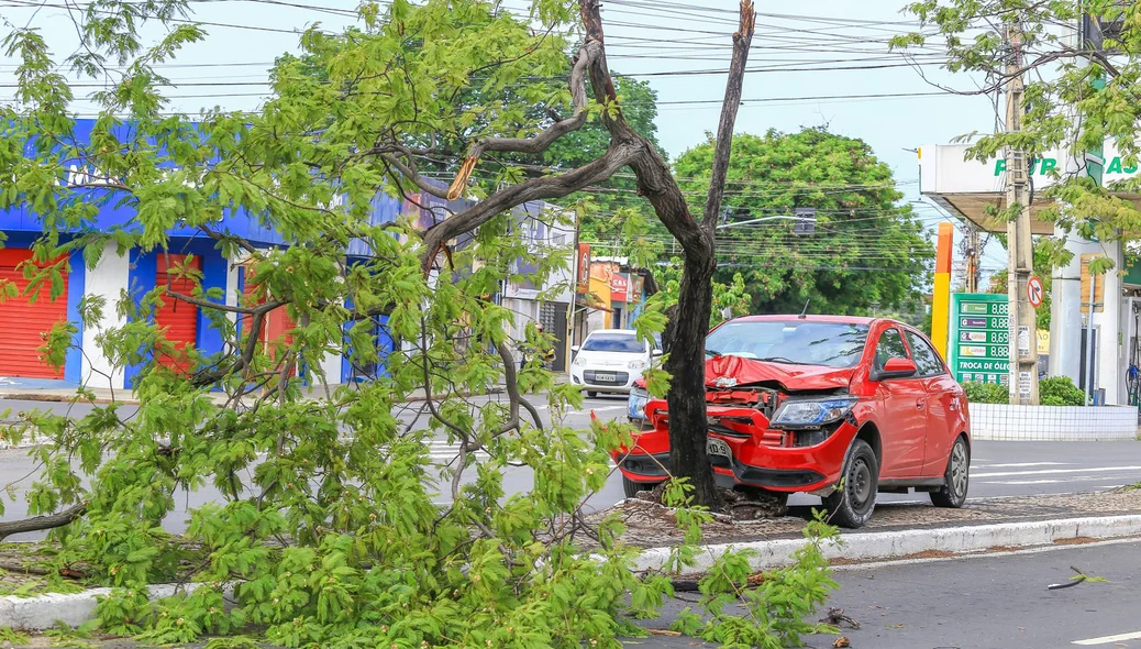 Parte da árvore tomou uma faixa da Avenida Miguel Rosa, no sentido Sul-Norte