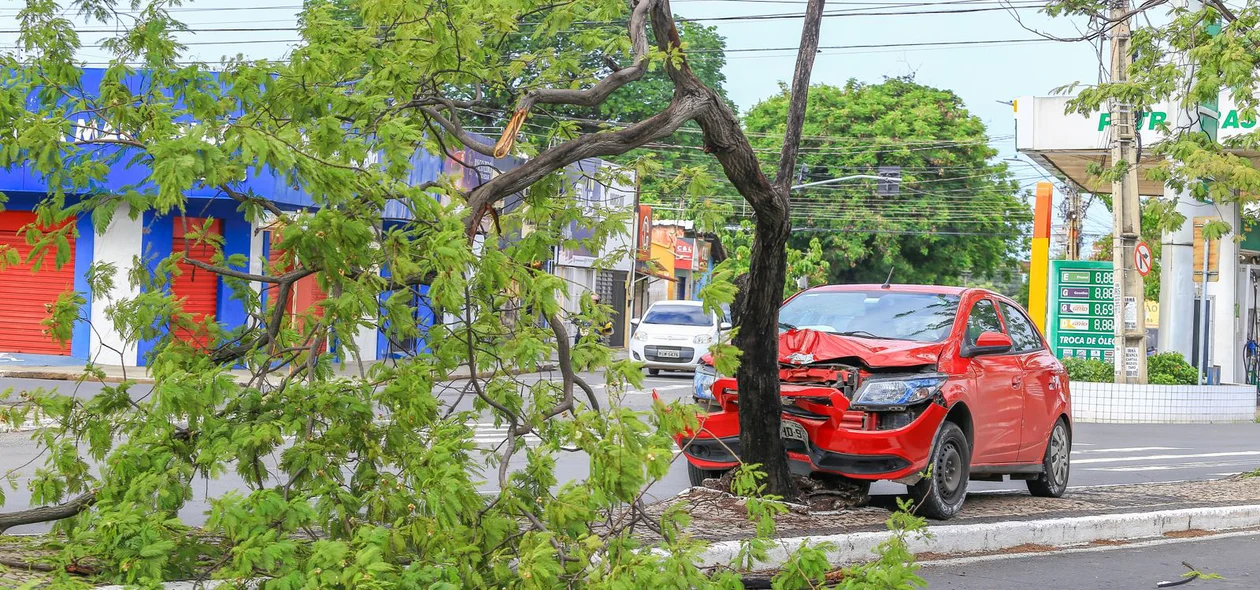 Parte da árvore tomou uma faixa da Avenida Miguel Rosa, no sentido Sul-Norte
