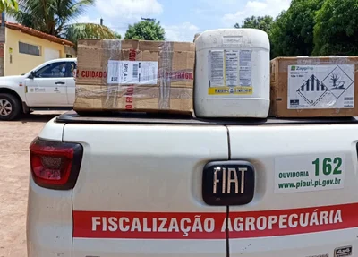 Parte dos agrotóxicos apreendidos