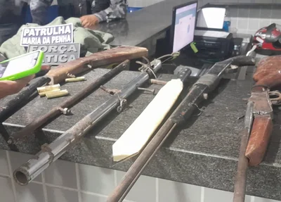 PM apreende 4 armas de fogo dentro de residência em Campo Maior