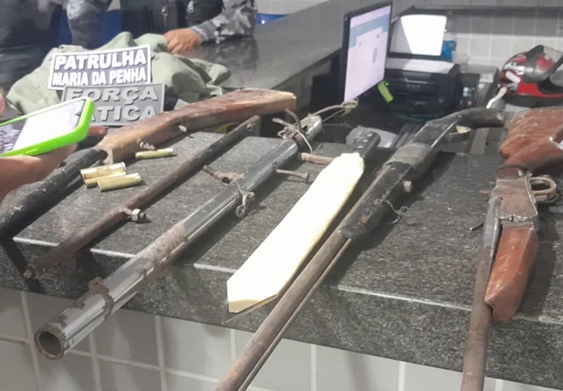 PM apreende 4 armas de fogo dentro de residência em Campo Maior