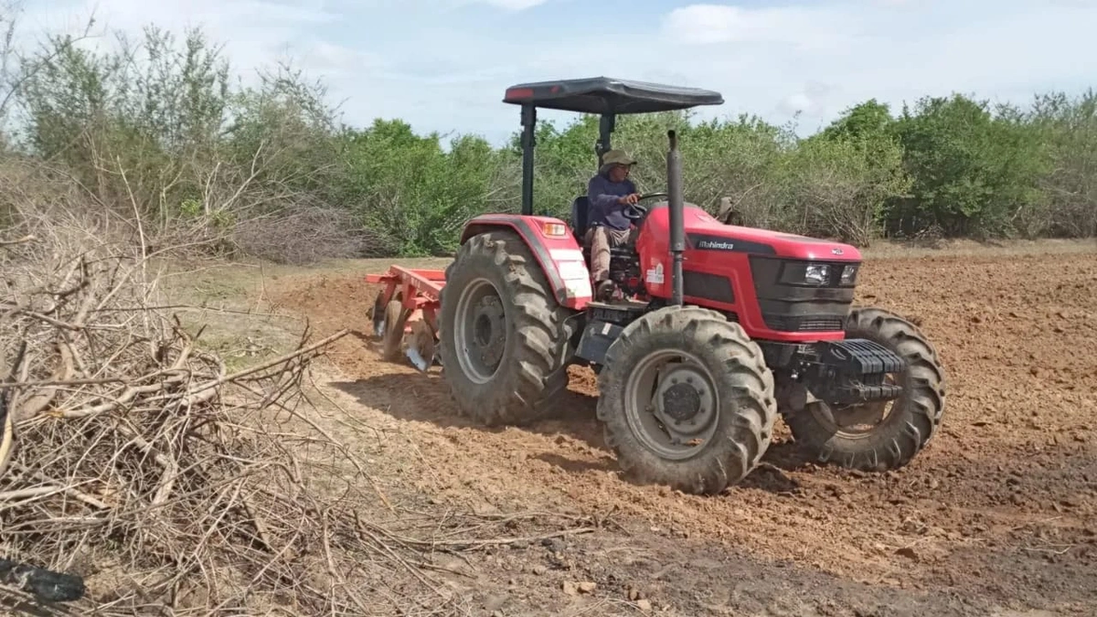 Prefeitura de Joaquim Pires apoia e fortalece pequenos agricultores do município
