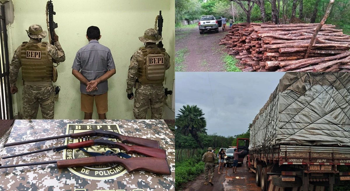 Prisão e apreensão de carga ilegal de madeira na zona rural de Caxingó