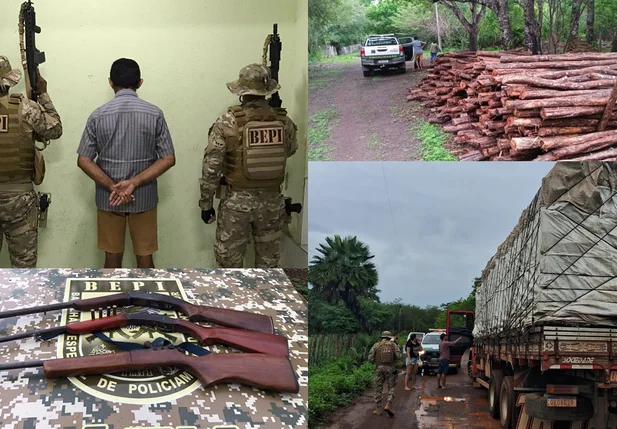Prisão e apreensão de carga ilegal de madeira na zona rural de Caxingó