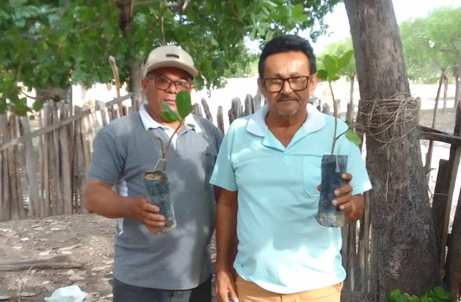 Produtor rural recebendo as mudas de caju
