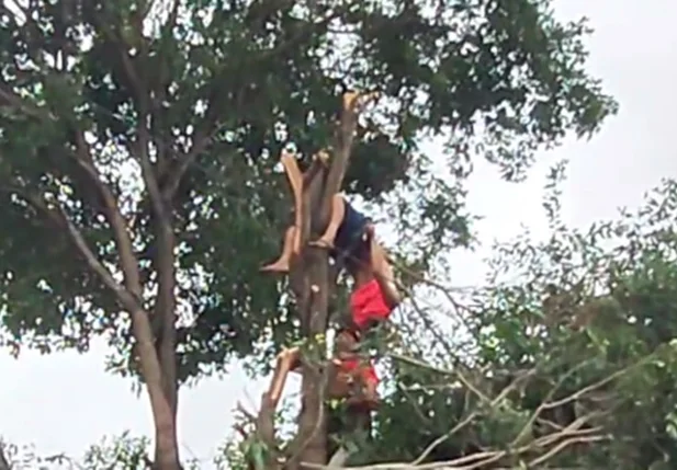 Vídeo registrou o resgate do homem que ficou pendurado em árvore após sofrer descarga elétrica