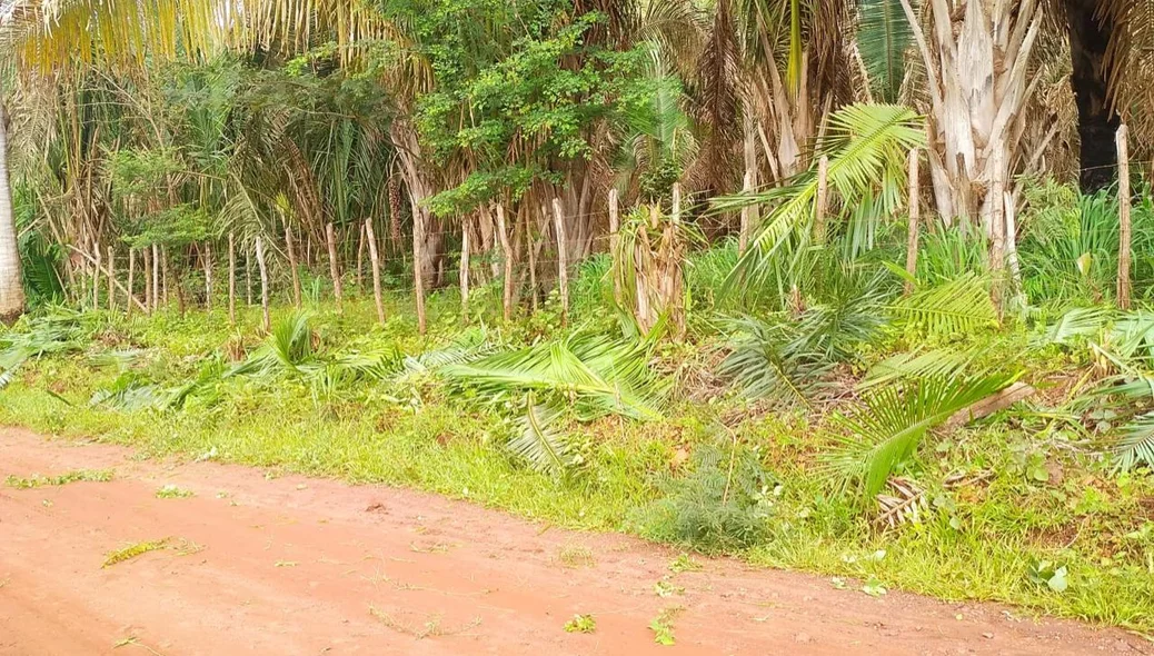 A ação foi supervisionada pelo Secretário Municipal de Infraestrutura