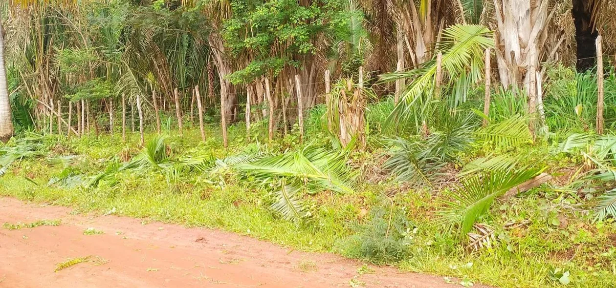 A ação foi supervisionada pelo Secretário Municipal de Infraestrutura