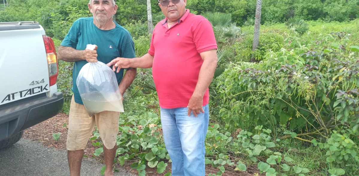 A ação ocorreu na sexta-feira (08)