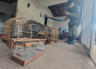 Animais em gaiolas