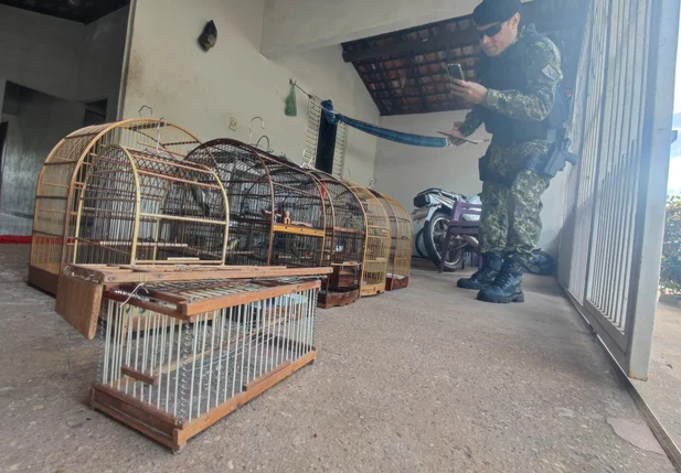 Animais em gaiolas