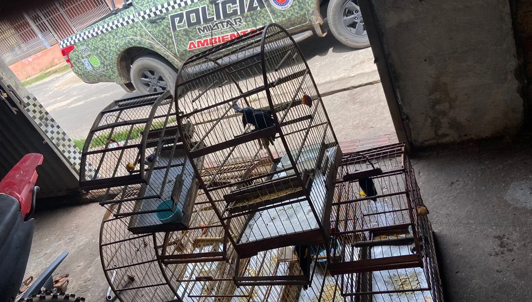 Animais eram mantidos em cativeiro
