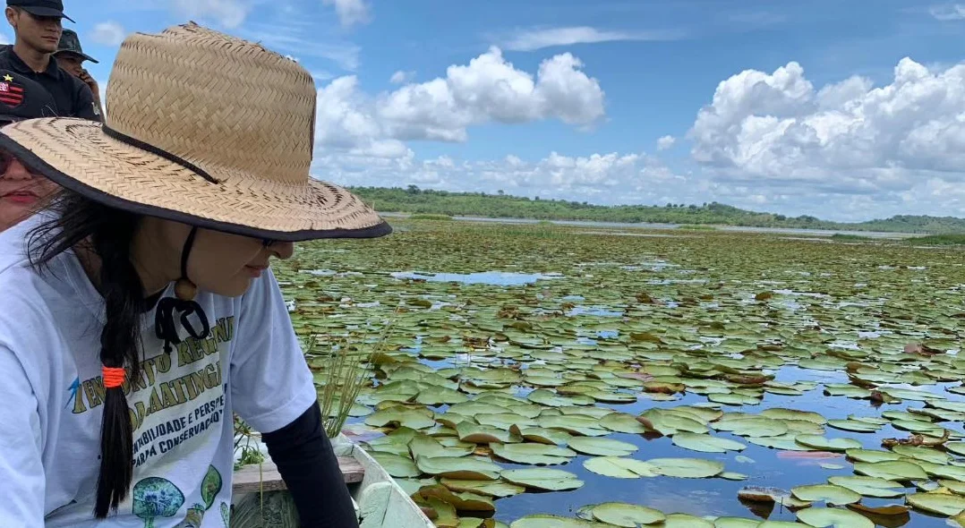 Após as coletas, as plantas foram prensadas