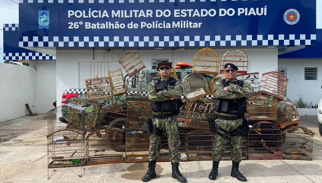 Aves em estado de mansidão foram encaminhadas para observação no Cetas