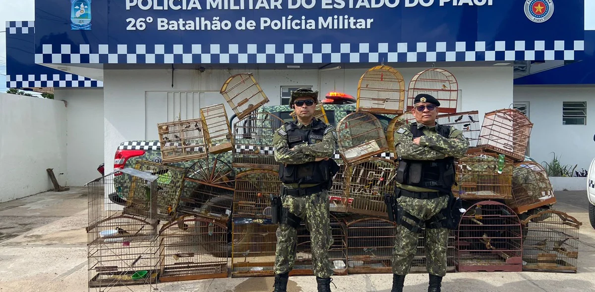 Aves em estado de mansidão foram encaminhadas para observação no Cetas