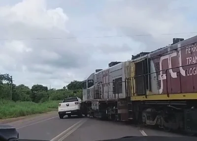 Colisão entre trem e toro na BR 343 em Altos