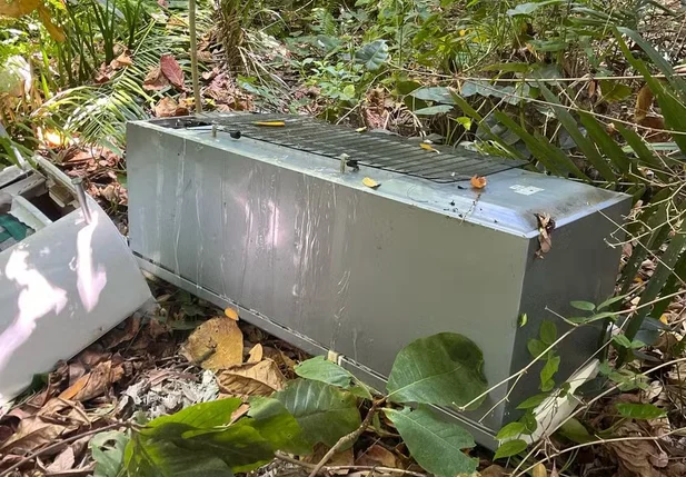 Corpo de Flávia dos Santos Carneiros foi encontrado em geladeira