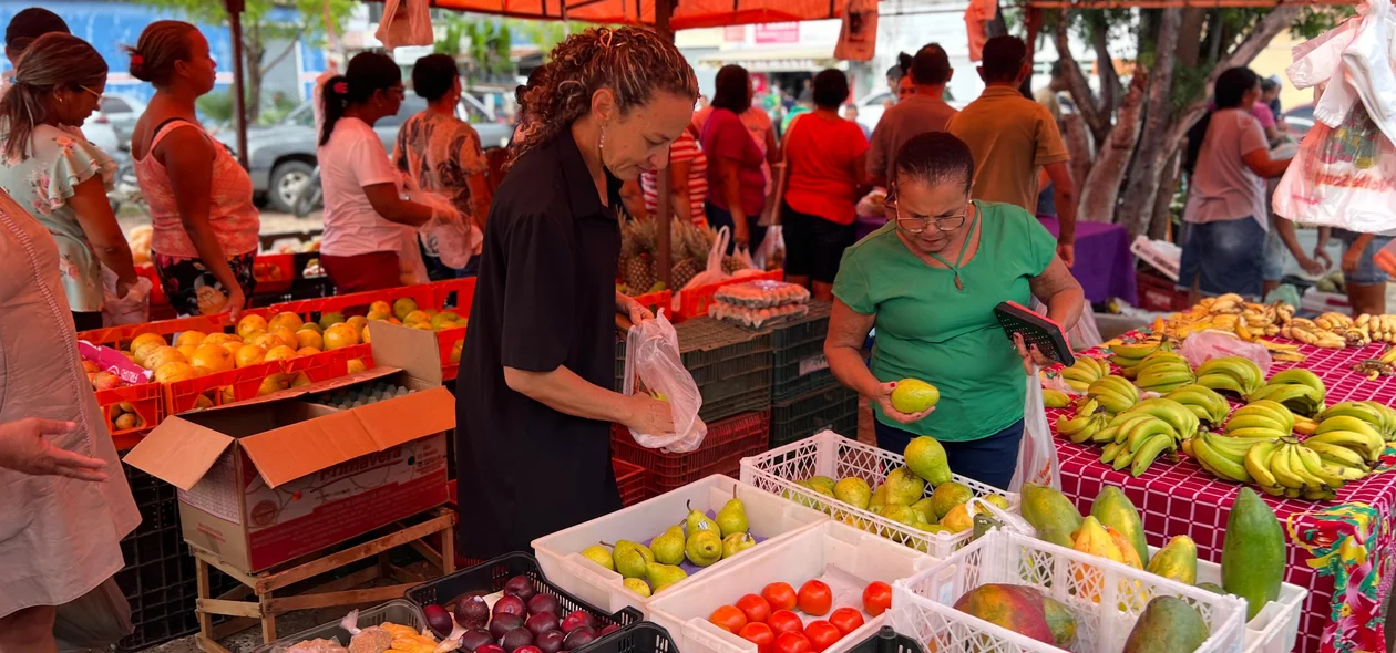 Diversidade de produtos na Feira Municipal em Curimatá