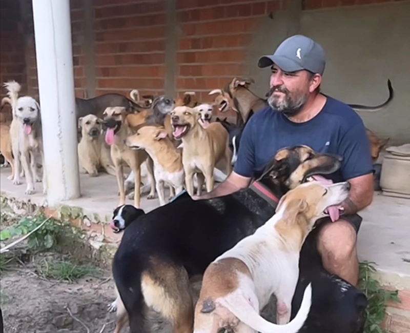 Lar do Nando abriga animais abandonados