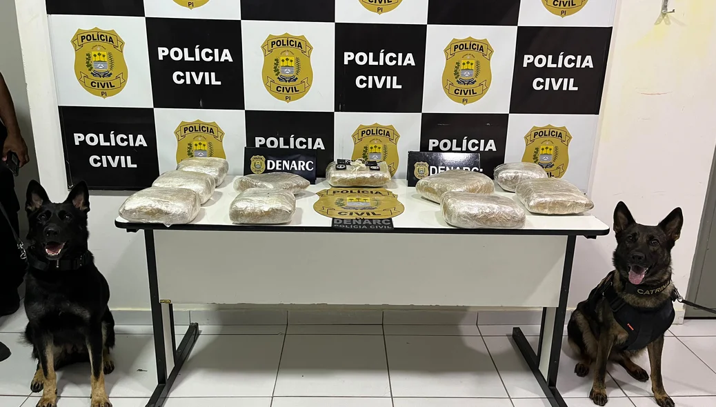 Material apreendido pelo Núcleo de Operações com Cães