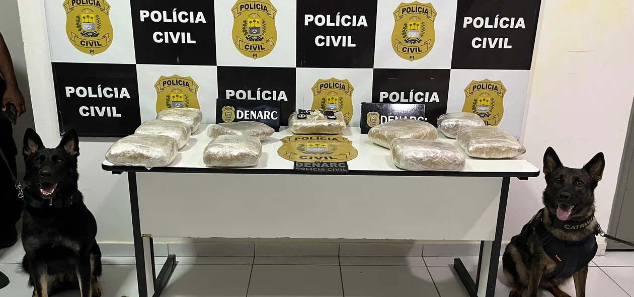 Material apreendido pelo Núcleo de Operações com Cães