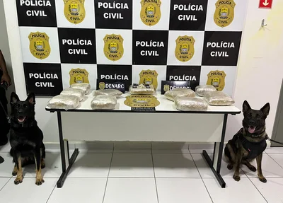Material apreendido pelo Núcleo de Operações com Cães