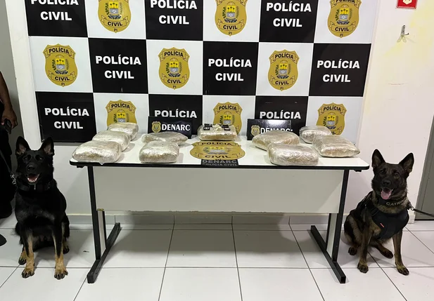 Material apreendido pelo Núcleo de Operações com Cães