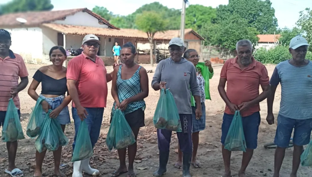 Momento da distribuição dos peixes para a população
