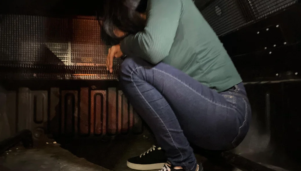 Mulher foi presa pelo DENARC