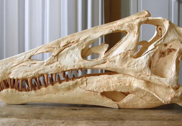 Réplica do crânio do Irritator challengeri feita por meio de impressora 3D