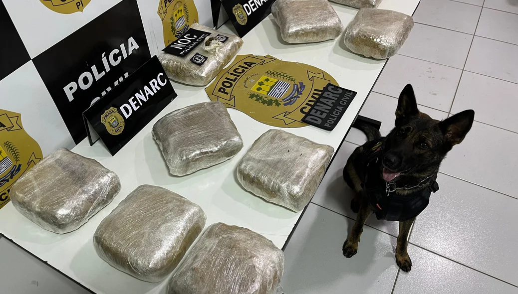 Supermaconha apreendida pelo DENARC