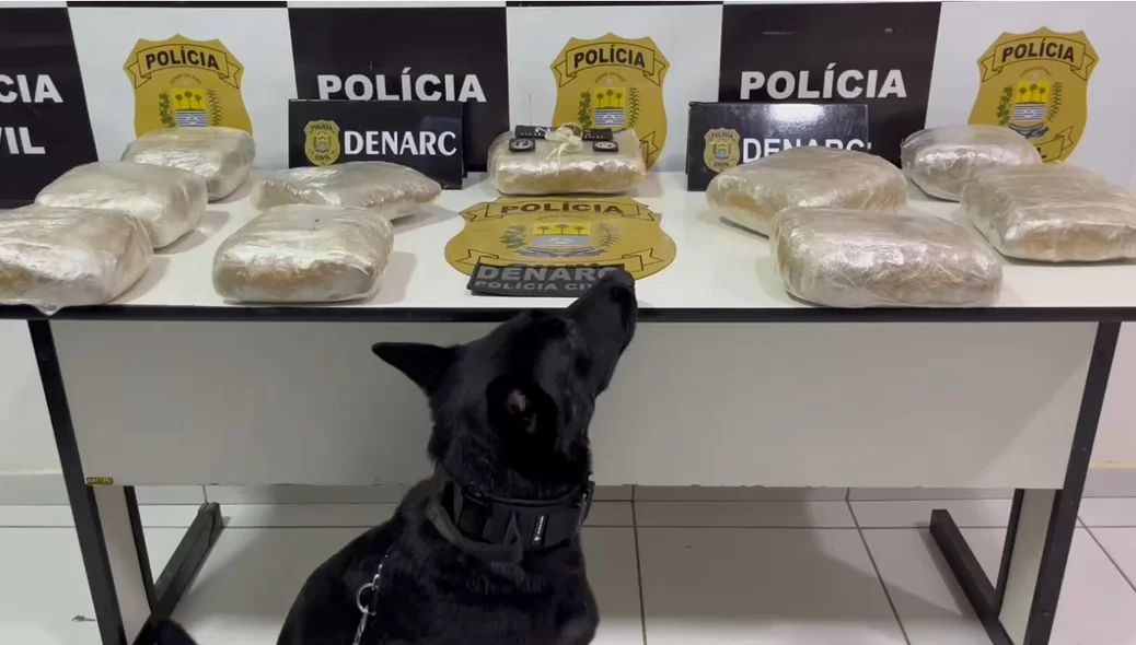 Vick auxiliou nas buscas à droga