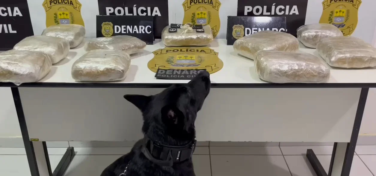 Vick auxiliou nas buscas à droga