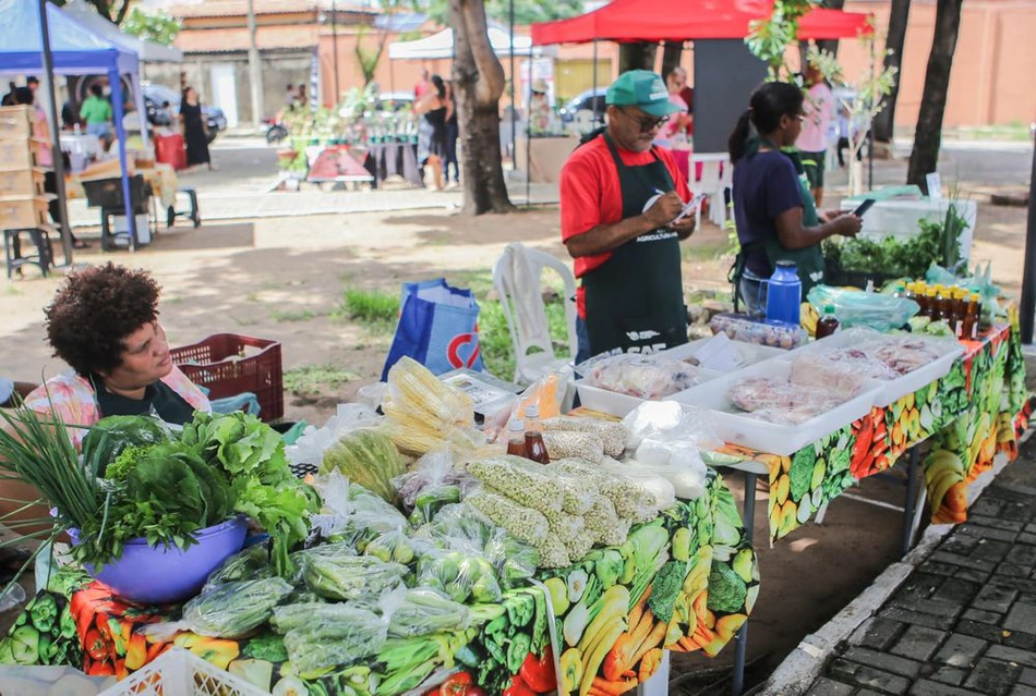 Alimentos orgânicos