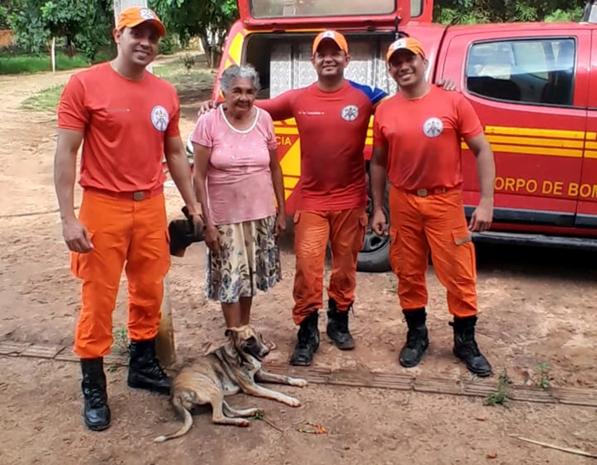 Cadela Pintadinha foi resgatada pelos bombeiros