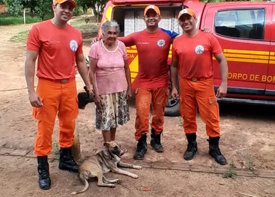 Cadela Pintadinha foi resgatada pelos bombeiros