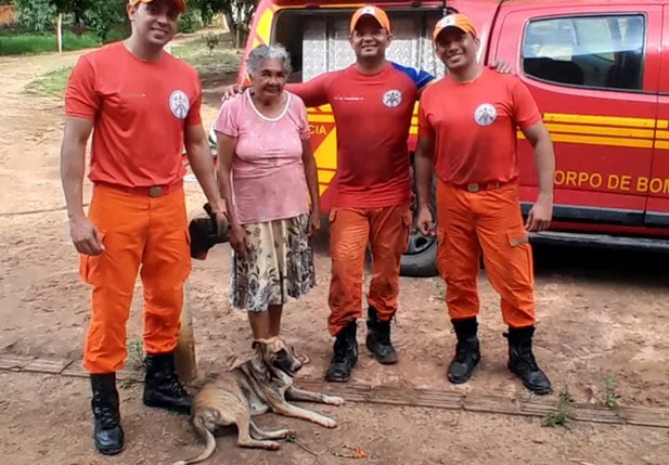 Cadela Pintadinha foi resgatada pelos bombeiros